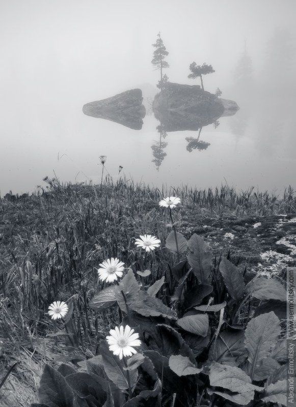 ~ Волшебный остров ~ фото превью