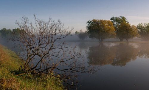 Тянущийся к воде