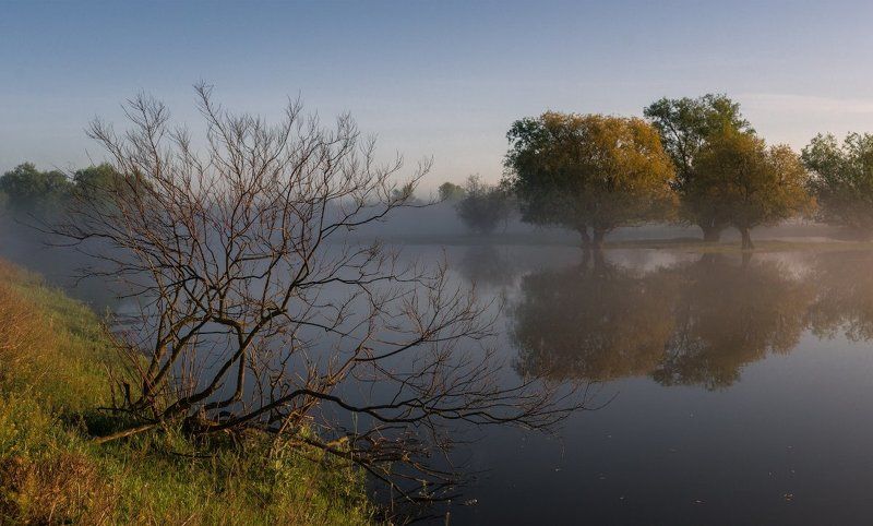 Тянущийся к воде фото превью