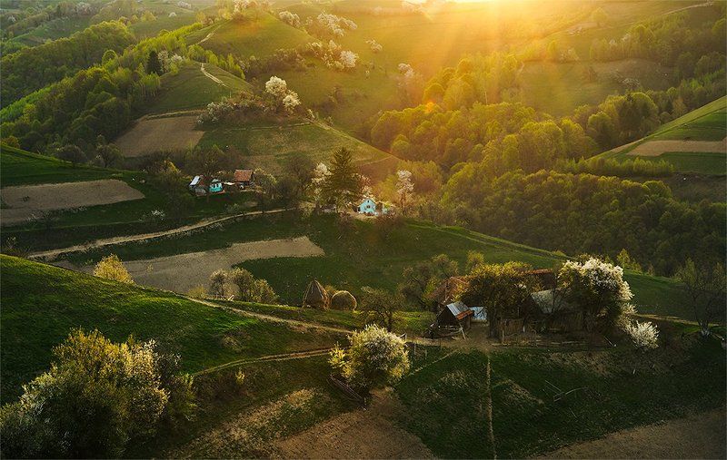 Под утреним солнцем фото превью