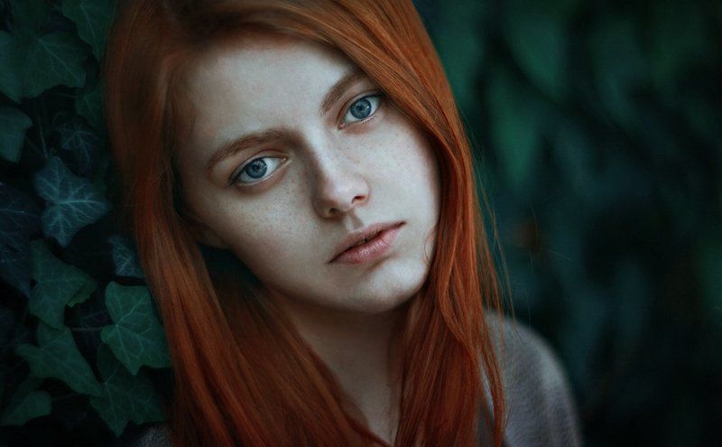 Ivy фото превью