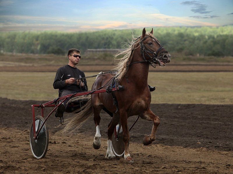 кемерово, кузбасс Вечерний моцион фото превью