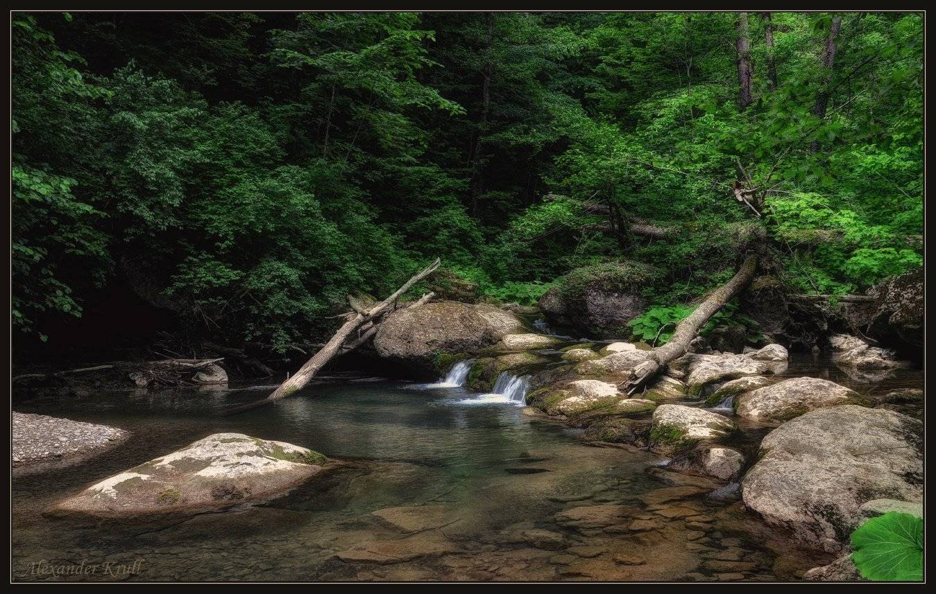 аюк, Александр Круль