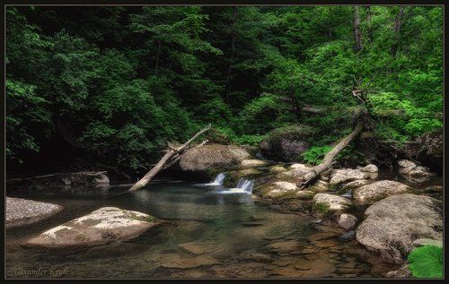 В дебрях Кубанских предгорий...