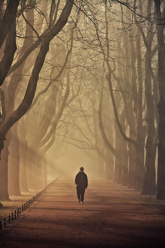 in the morning.. фото превью