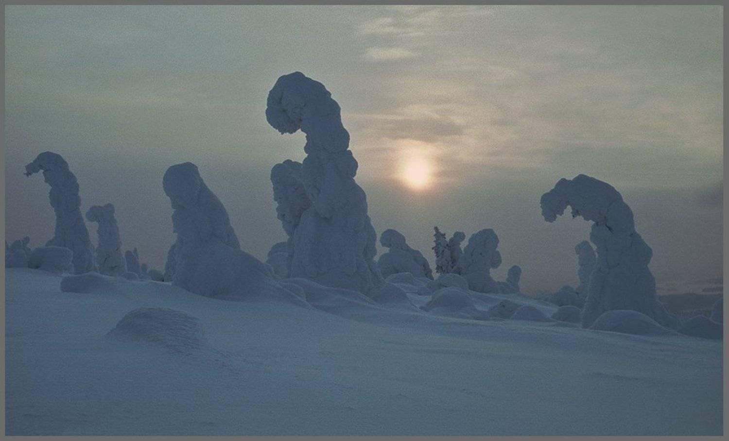 , Сергей Захаров.