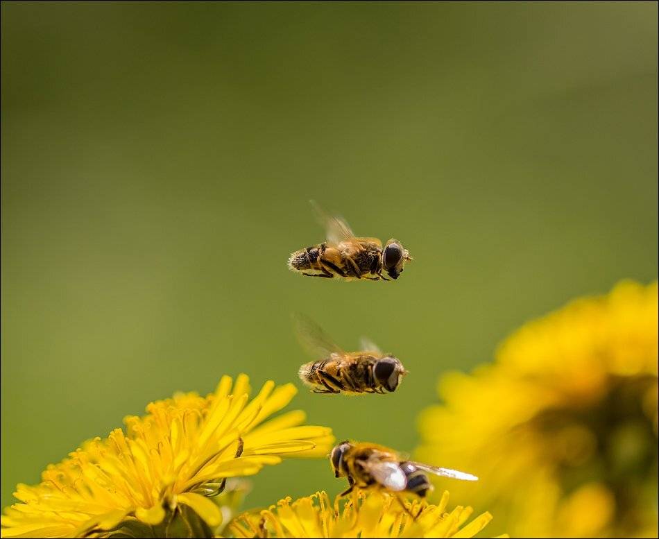 , Бурлов Андрей