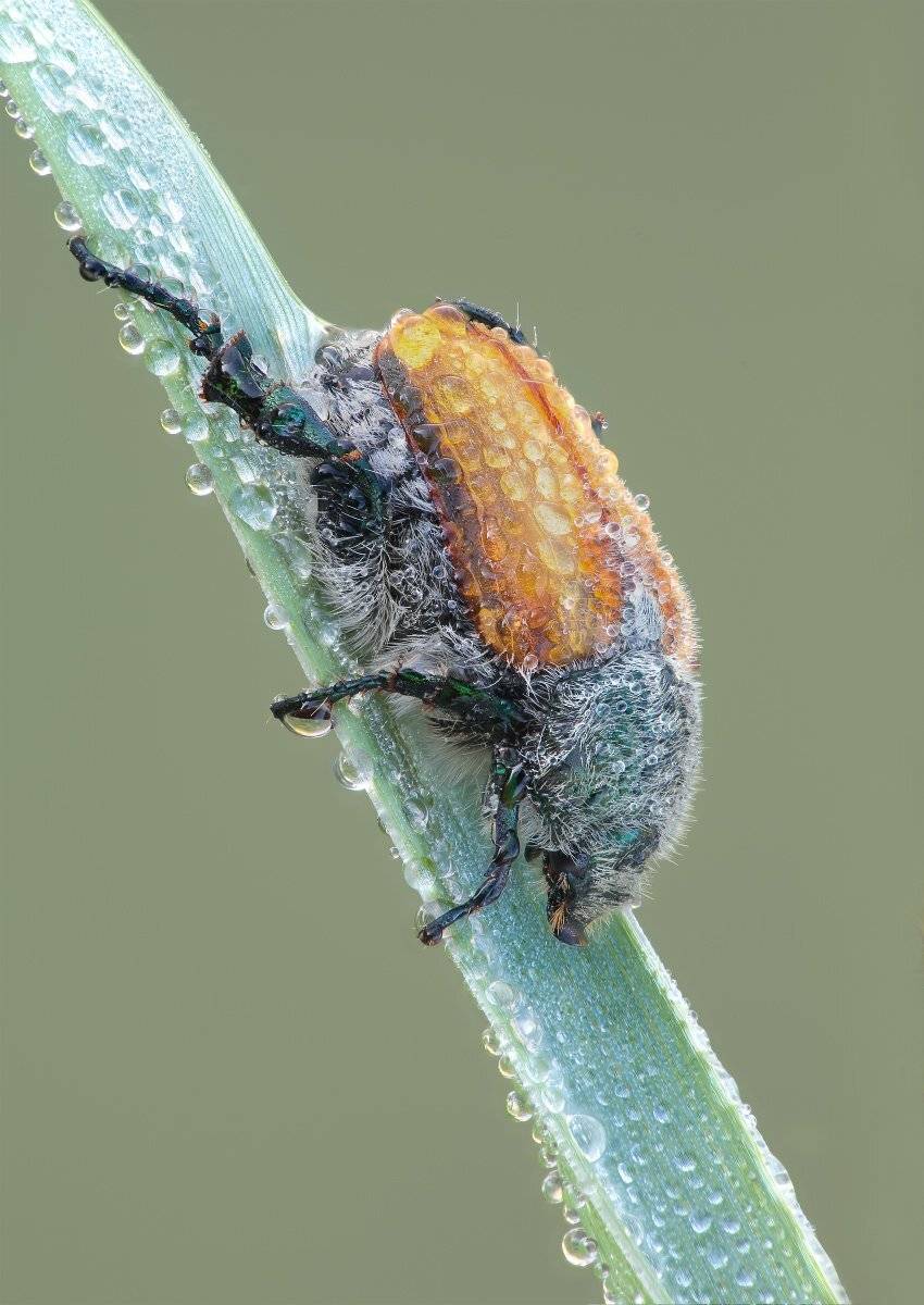 , Вадим Ходаковский