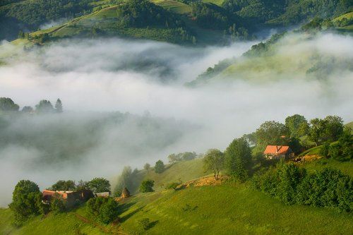 Farming in the clouds