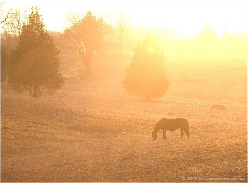 Родом из детства.... фото превью