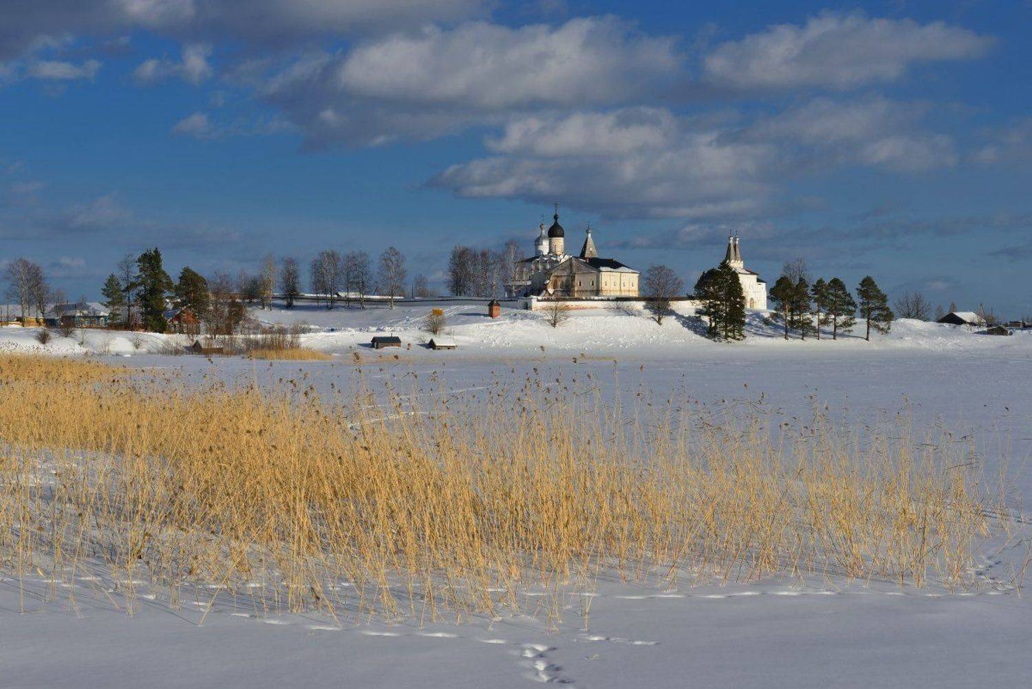 ферапонтово, Максим Евдокимов