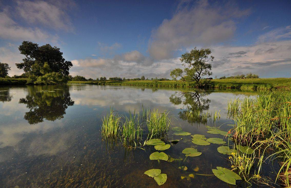 , Володимир Карчевський