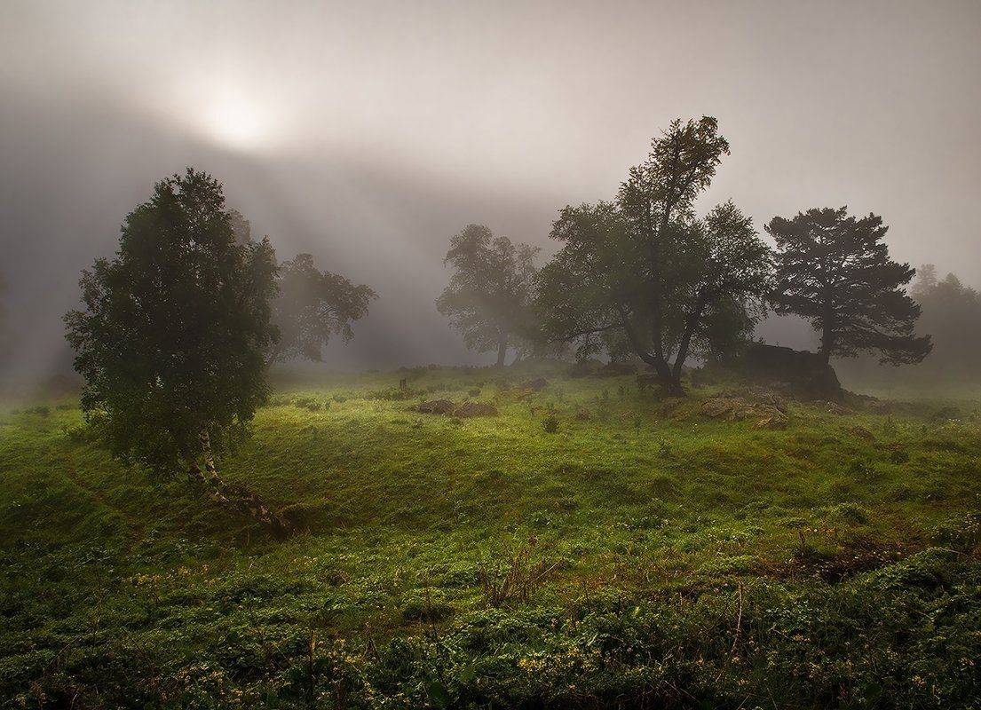 , Месилов Сергей