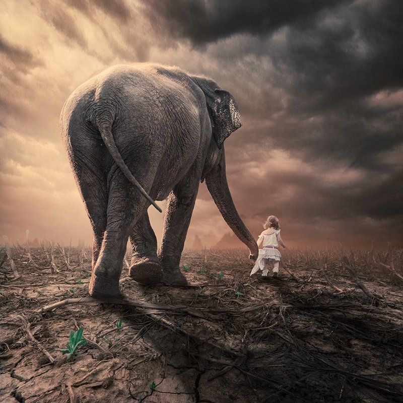 clouds, corn, elephant, girl, ground, head, heat, ioana, journey, light, manipulation, mounting, mounting happy, psd, reflection, sky, spinner, stage, tutorials The little companion II фото превью