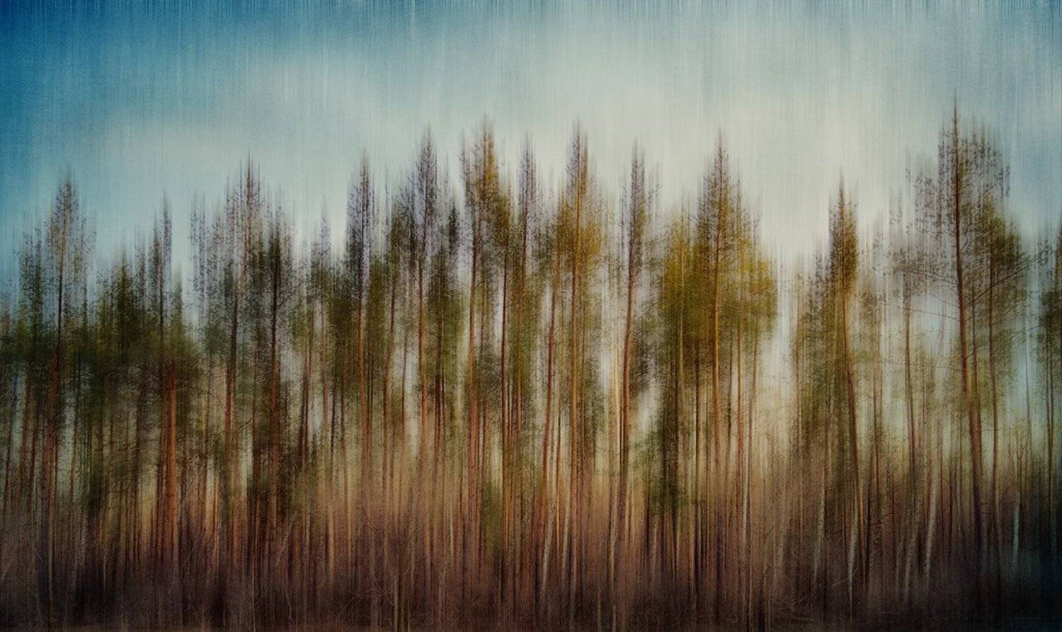 , Латышева Алена