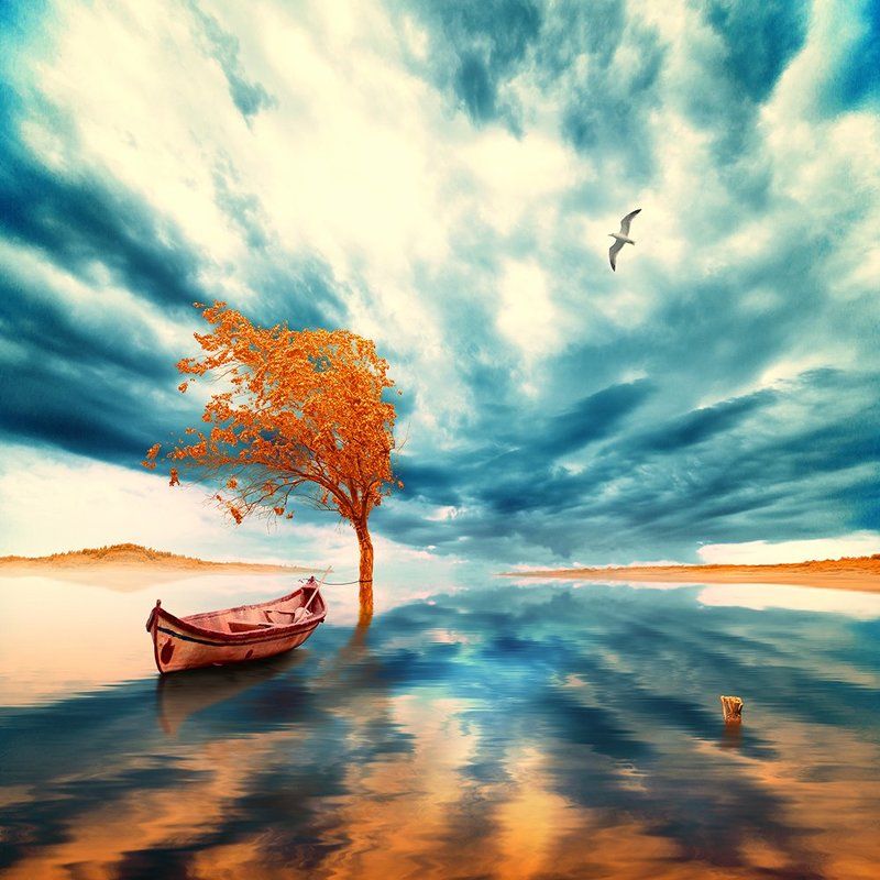 amazing, blue, boat, bubble, clouds, daughter, design, drums, floating, ioana, ir, island, land, light, manipulation, orange, pastel, photoshop, pipes, psd, read, shadow, shore, smoke, tree, tutorials, water, wood, world The drop that will change the world фото превью