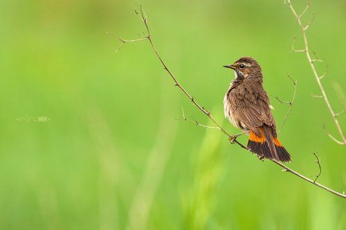 После дождя