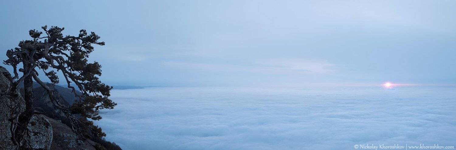 , Николай Хорошков