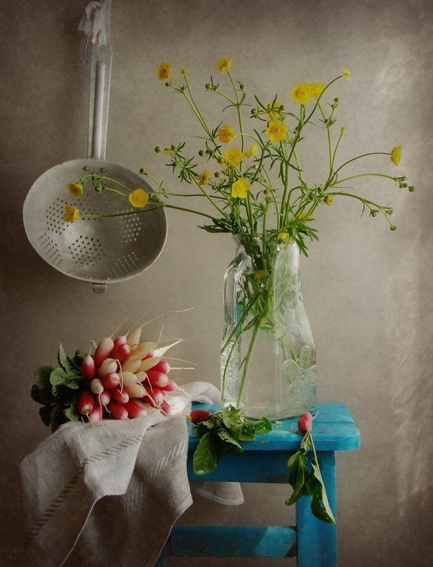 Редиска фото превью