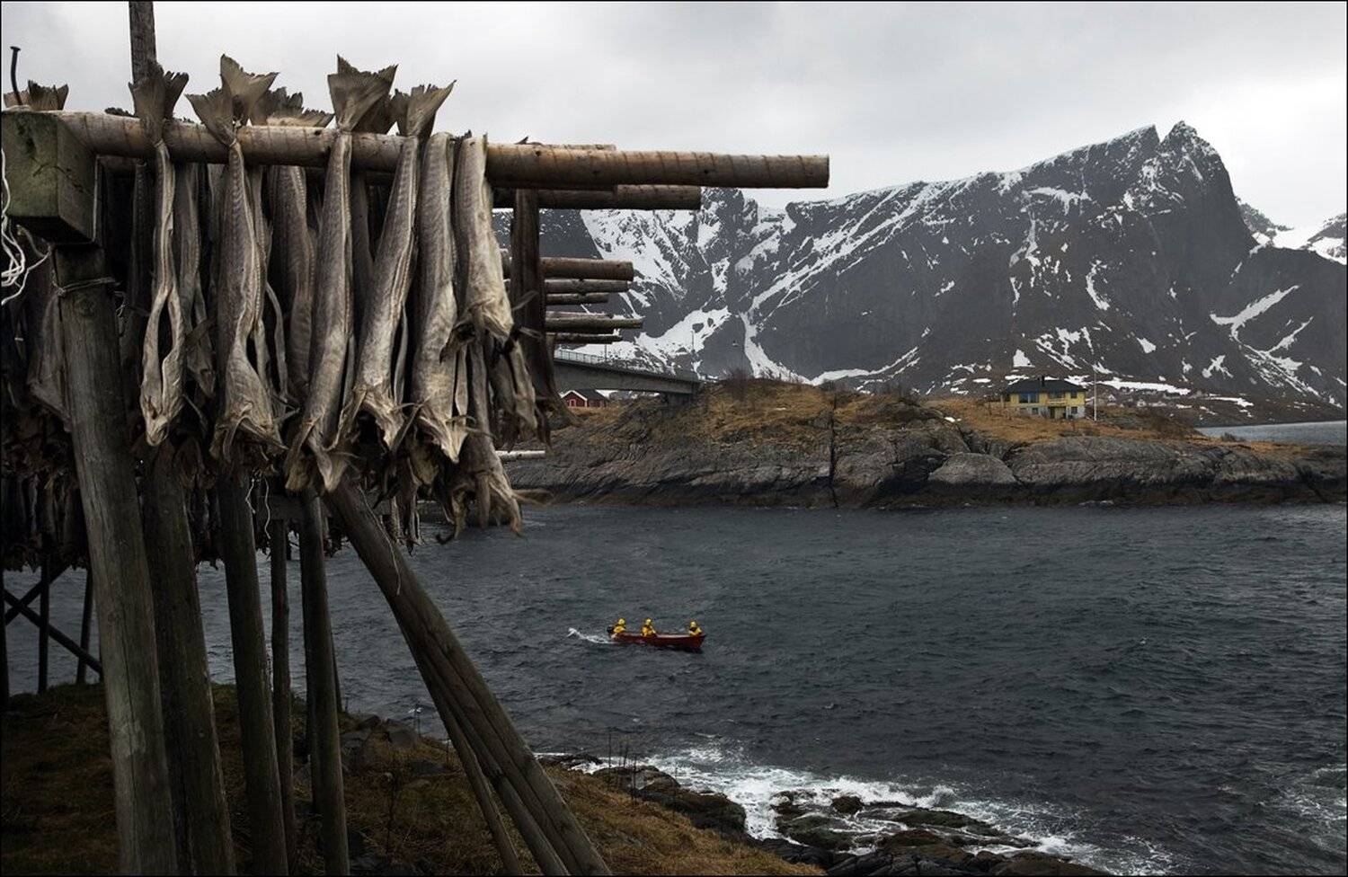 , Крицак Ольга