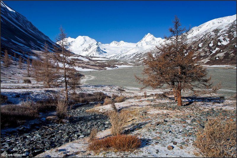Майские картинки с Талдуры фото превью