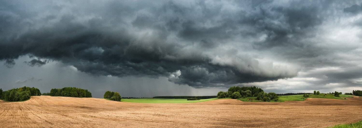 , Вейзе Максим