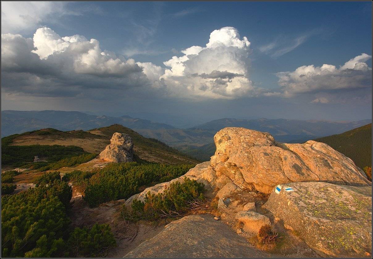 , Михаил (mgk)