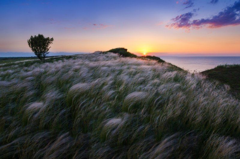 Широкий угол фото превью