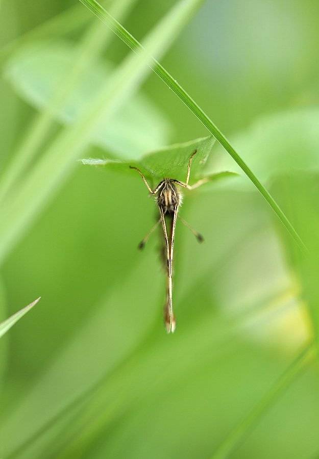 , Сергей Таланов