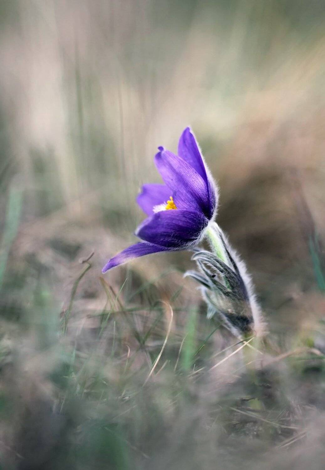 , Иваненко Светлана