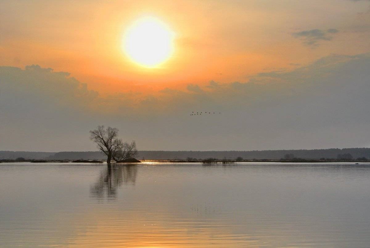 , Валерий Кондратов