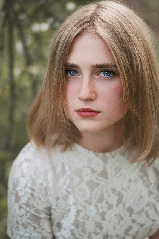 apple trees фото превью