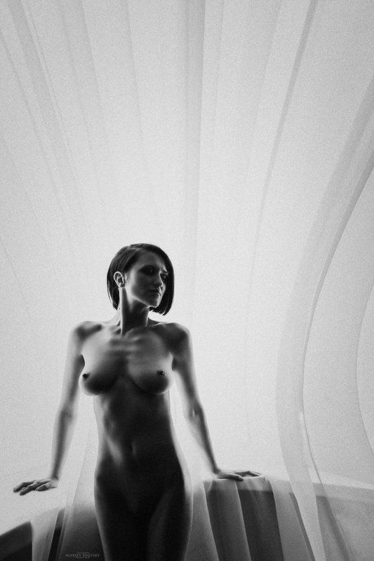 V фото превью