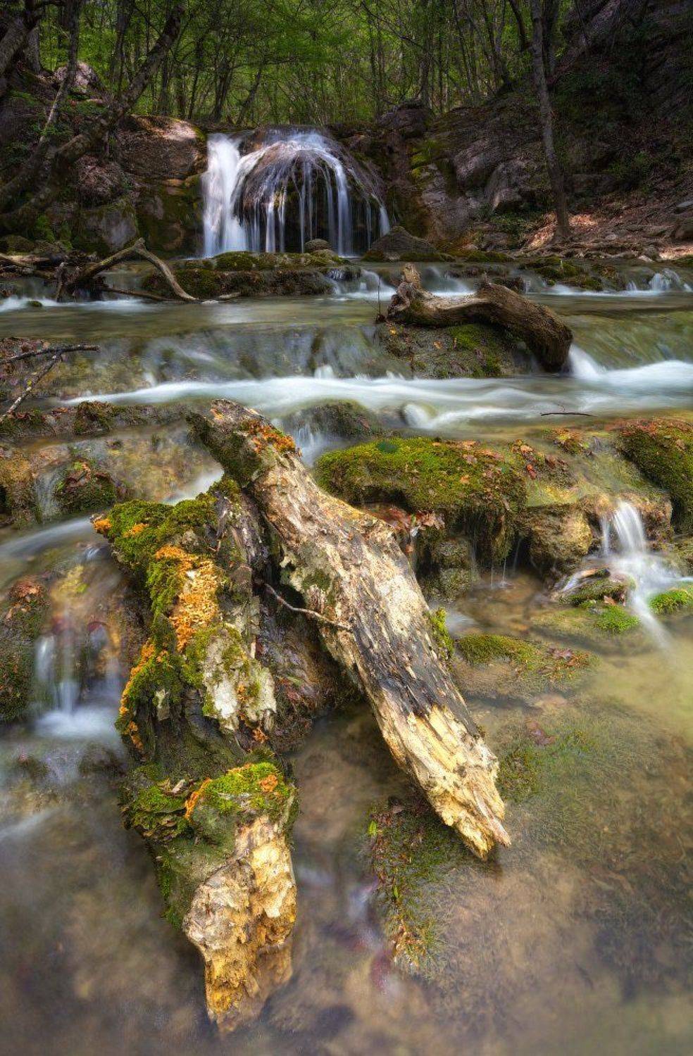 , Анатолий Гордиенко