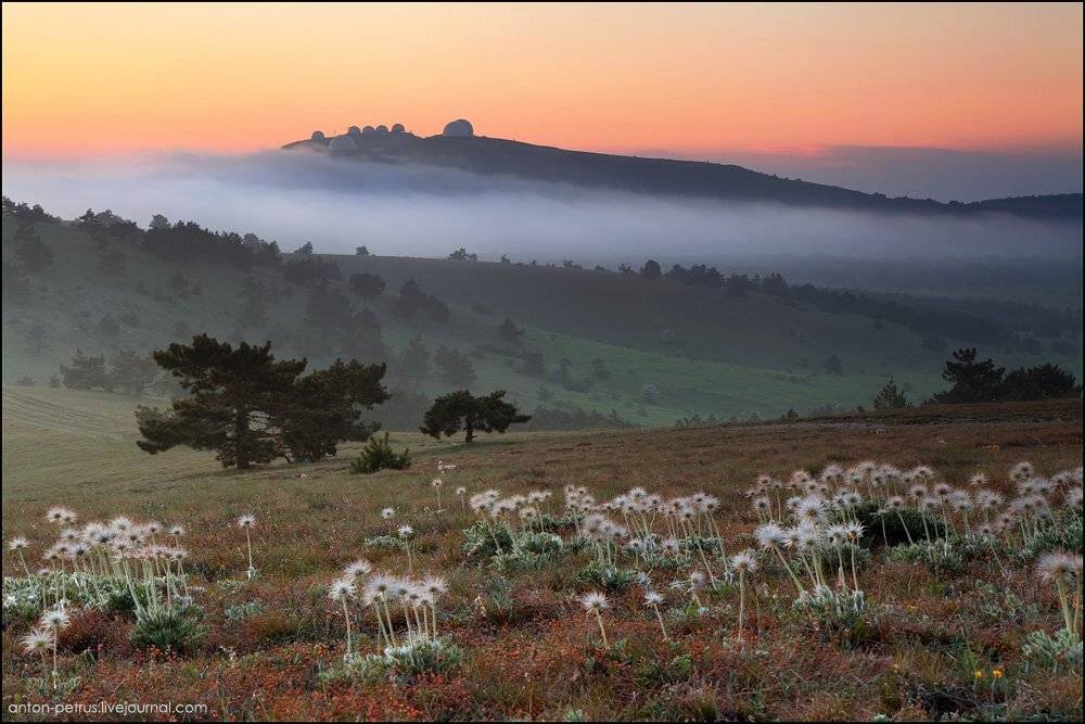 , Антон Петрусь