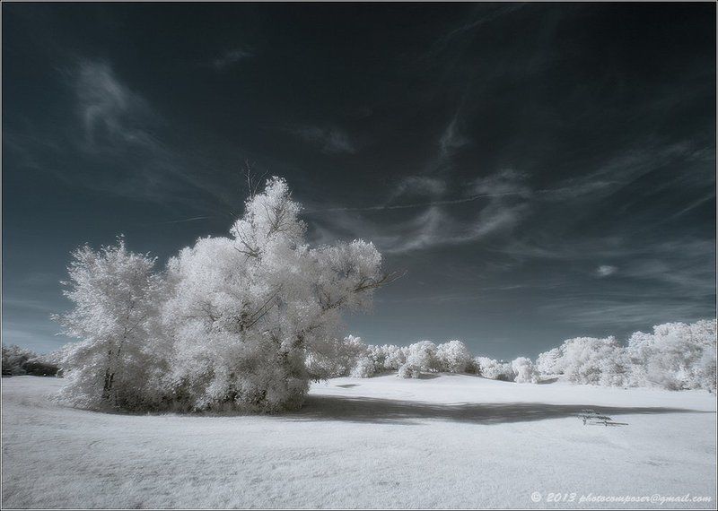 Белый день... фото превью