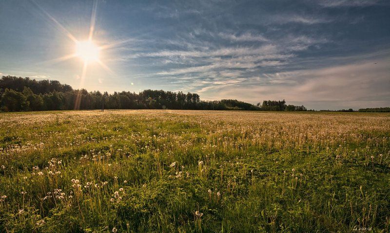 начало лето фото превью