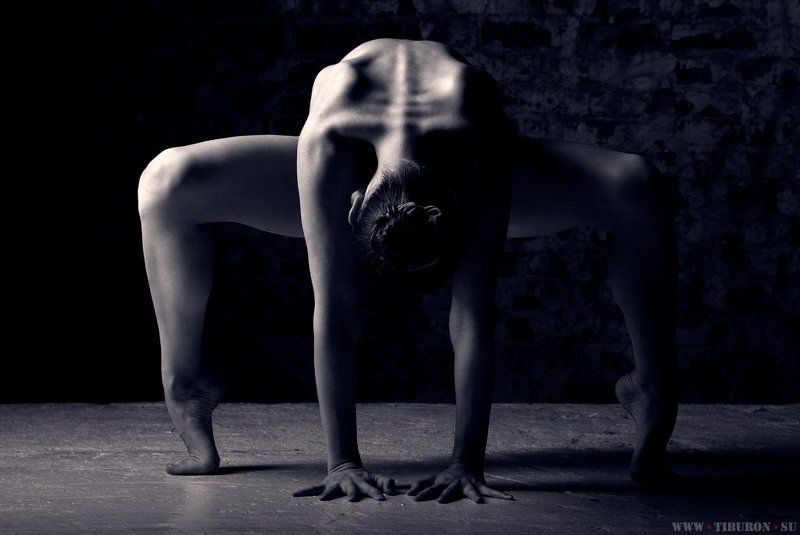 **** фото превью