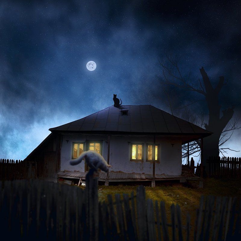 abandoned, alone, cat, fence, goat, house, inside, light, roof, stars The cat who stare at moon II фото превью