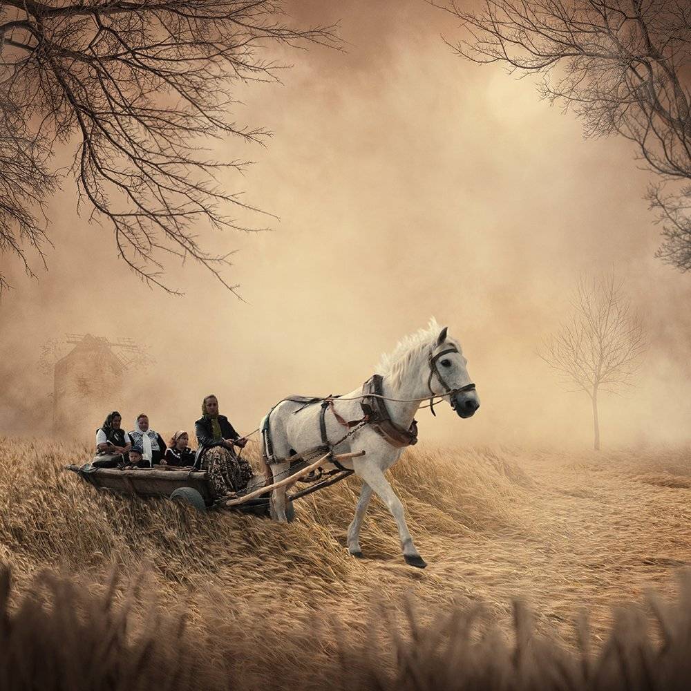 cart, crow, field, ground, grounds, light, man, manipulation, mounting, photoshop, psd, reaven, tulip, Caras Ionut
