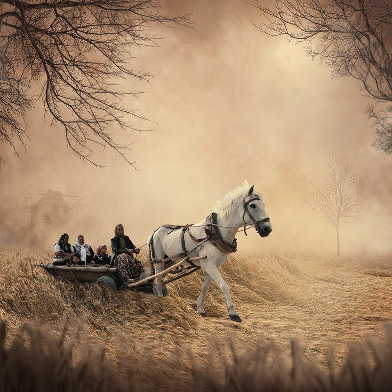 cart, crow, field, ground, grounds, light, man, manipulation, mounting, photoshop, psd, reaven, tulip The mill fire фото превью