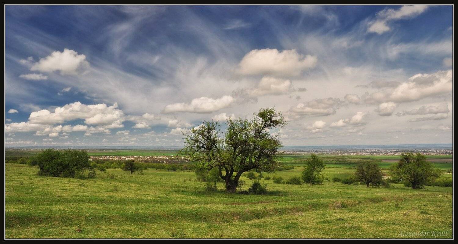 чечня, Александр Круль