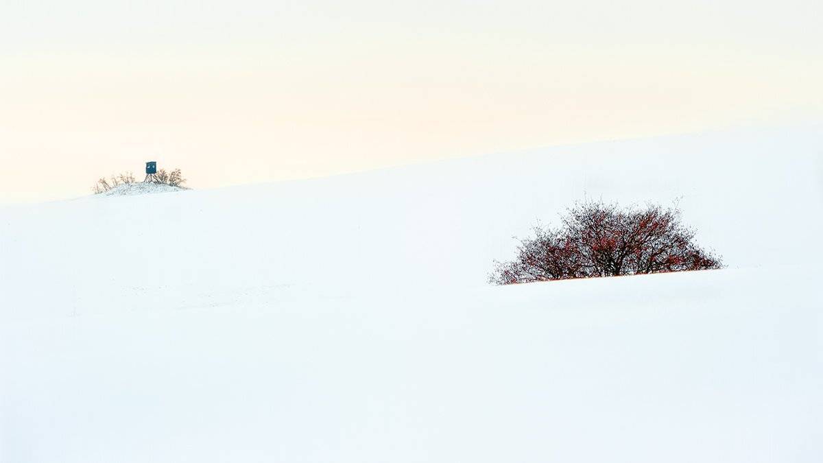 , wojtek6308