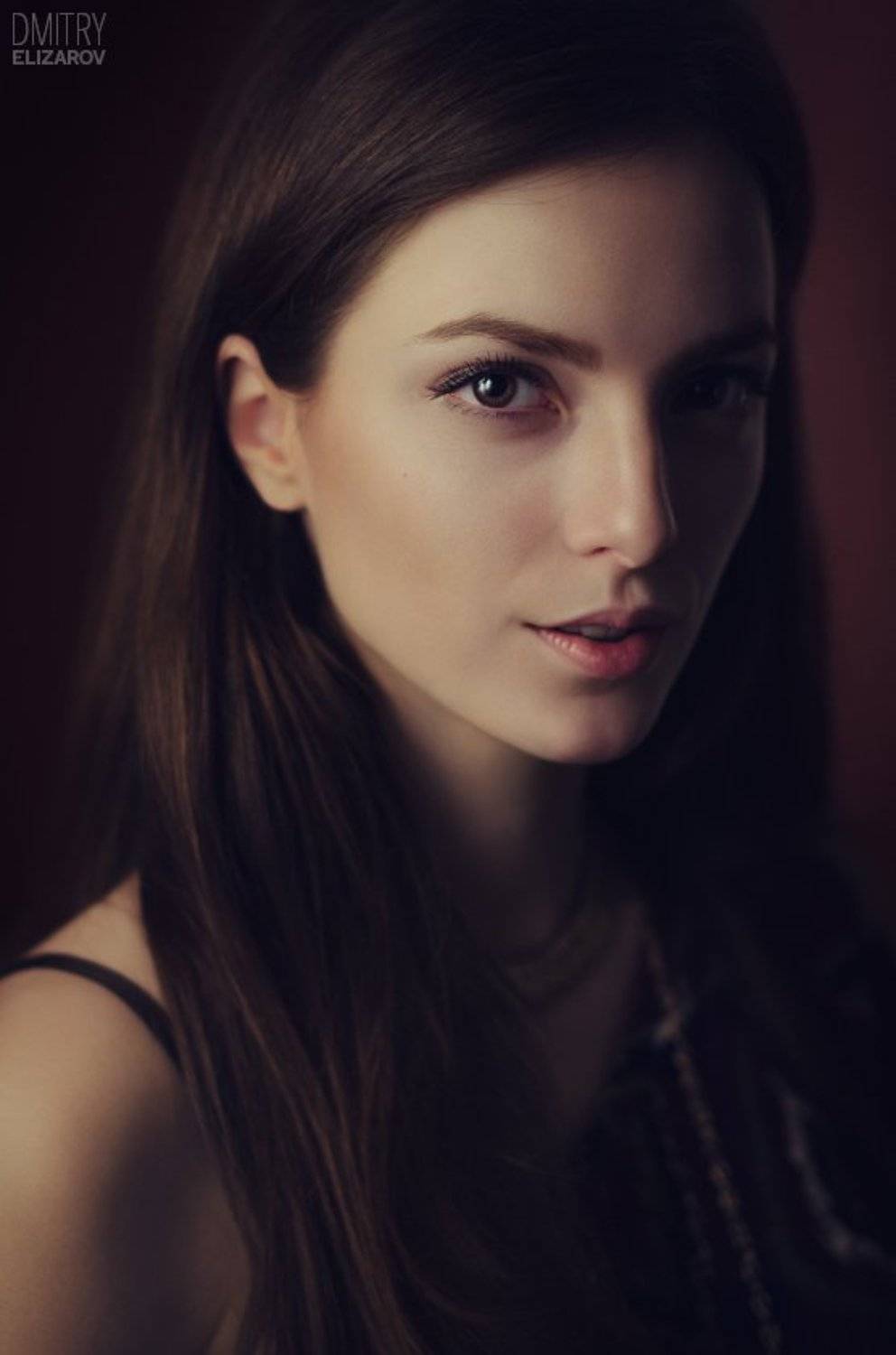 , Дмитрий Елизаров