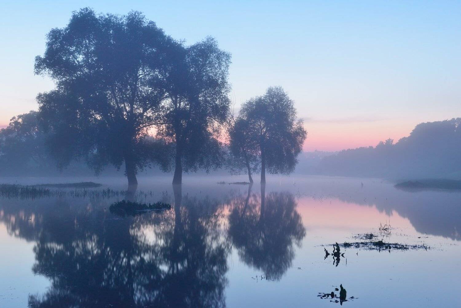 , Максим Евдокимов