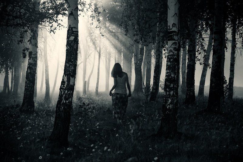 Однажды утром фото превью