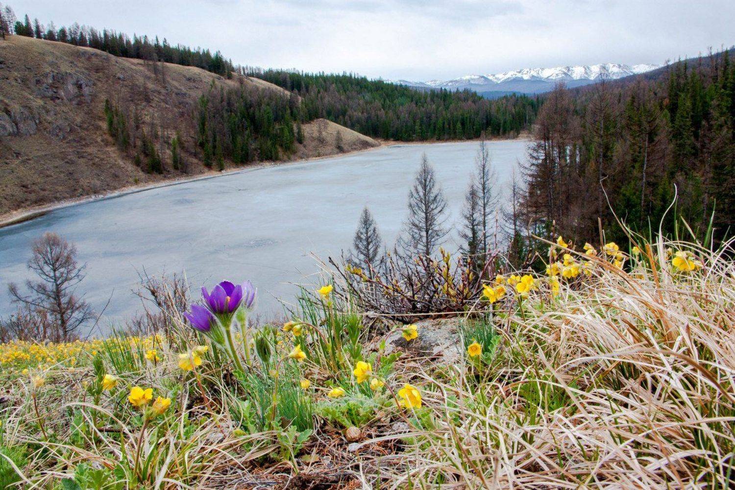 , Макаров Сергей