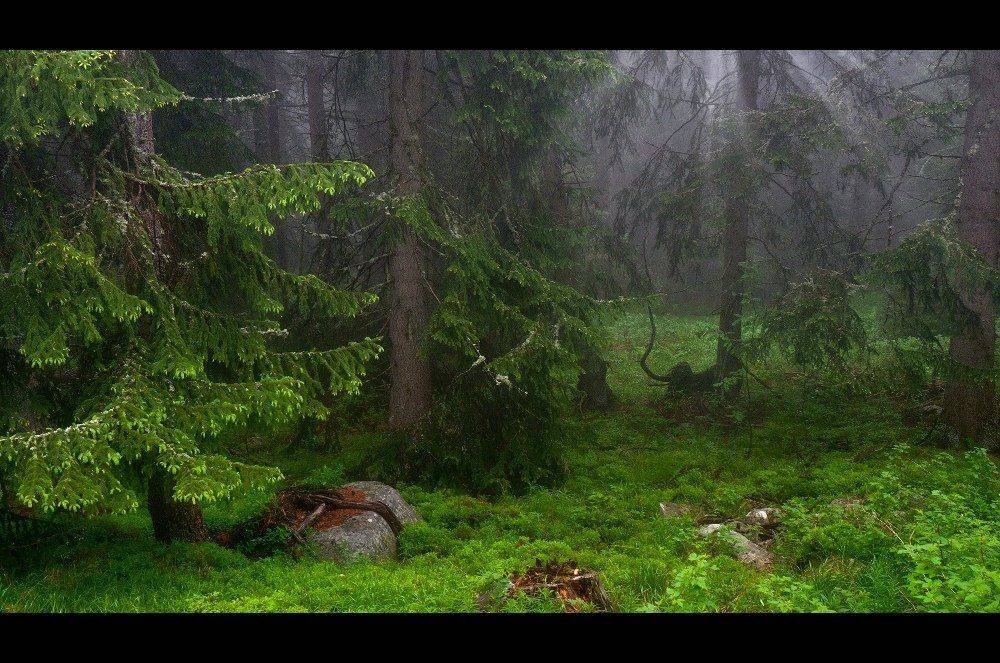 bulgaria, vitosha, Svetoslav