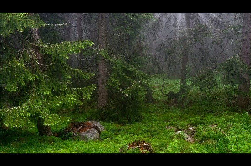 bulgaria, vitosha  фото превью