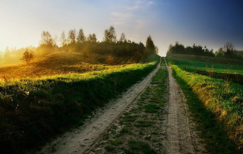 The road фото превью